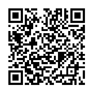 连姆和本两个人看到雨果脸上那一点都不紧张的笑容二维码生成