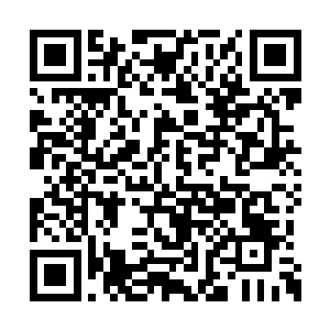 连对面紧紧盯着他的郑吒复制体都没有多看一眼二维码生成