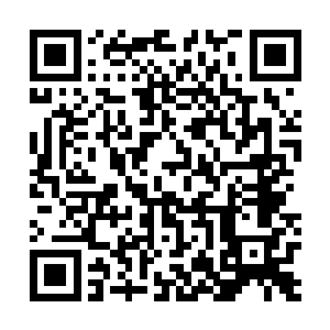 连岳霜婷自己都觉得自己还能在那边呆了那么久感到奇怪二维码生成