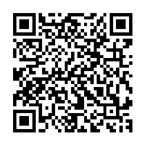 连巨蚬那样的老牌六品在杨开手下都支撑不了多久便身陨道消二维码生成