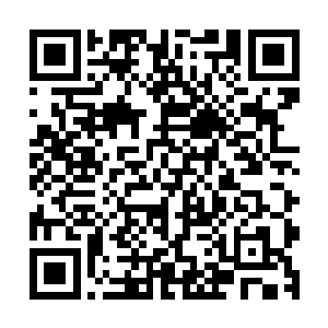 连带着它身下的圣兽青龙身躯也被这势惊风雷的一下几乎砸扁二维码生成