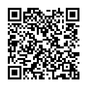 连带着对于四周响起的鬼哭狼嚎声也不再那么畏惧二维码生成
