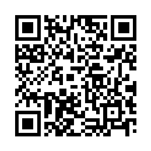 连带着整个甘比诺家族也不会有什么好下场的二维码生成
