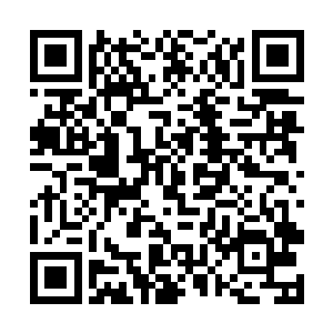 连徐凤年都不得不承认当真是被这家伙给结实震惊到二维码生成