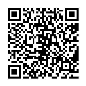 连忙从一员将士手中接过盛有香烛器皿等一干祈福物品的篮子二维码生成