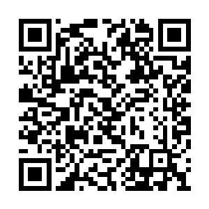 连忙从佛眼金鹏的翅膀挡住身影的位子伸出脑袋二维码生成
