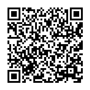 连愿力珠加晶币一起每年给弟子争取到了差不多二十颗下品愿力珠的待遇不是二维码生成