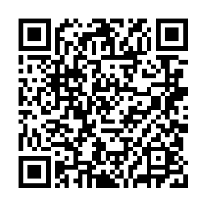 连我们军方的兵棋推演都还没导入这些最新数据二维码生成