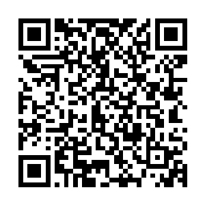 连斗灵圣莲的具体情况都不知道竟然还好运得到了斗灵圣莲莲子二维码生成