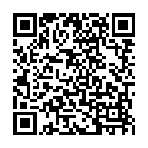 连爬带滚冲了过去想要把摇摇晃晃的林锐拉起来二维码生成