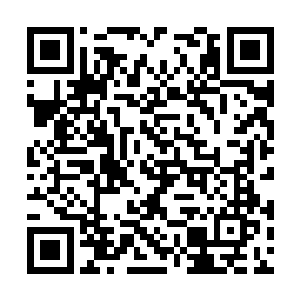 连着现在没想过结婚的多米尼克都有点儿小动心了二维码生成