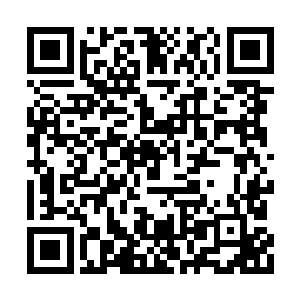 连秋忆梦这段时间都感觉自己的修为在突飞猛进二维码生成