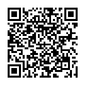 连空间饵都没有贝海十几分钟一根鱼毛都没有看到二维码生成