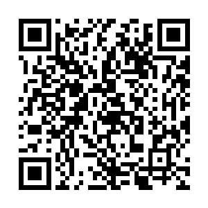 连续一个月时间都在接受采访――来自世界各地的采访二维码生成