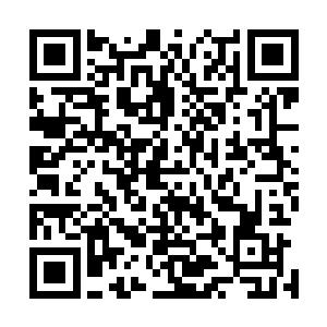 连老祭祀的都被凌菲突然的话惊喜到说话都结结巴巴的程度二维码生成