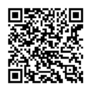 连莫邪和佟瑶这两位仙武后期的学生都心动不已二维码生成