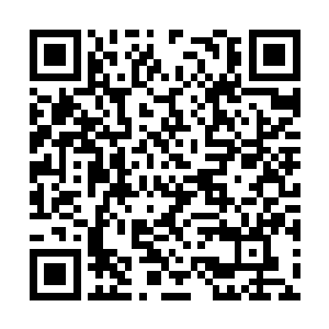 连郑重都在法尔科内召开了一次公开的新闻发布会二维码生成