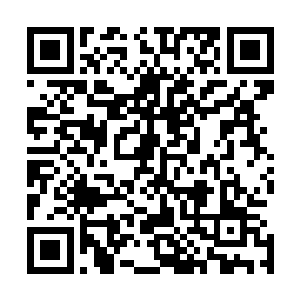 连队的八十名学生也由最开始的叫天叫地哀叫到现在的麻木二维码生成