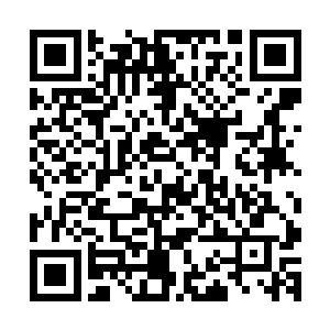 连飞鸟都看不见……是一样的沉寂从脚下一直蔓延到天边……二维码生成