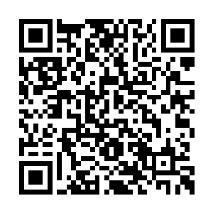 迟早有一天你会因为吃而把自己少女之身给丢了二维码生成