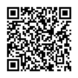 迪拜王室著名的主权基金在资本市场上呼风唤雨二维码生成