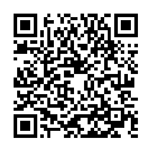 迷药是她之前在吩咐婢女准备酒菜的时候就已经准备的二维码生成