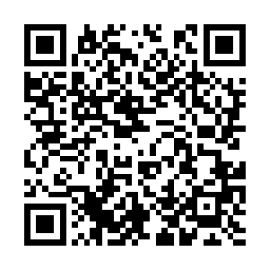 追了半天闪电貂他们也都累了于是都回帐篷休息了二维码生成