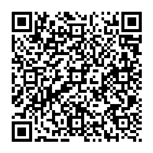 退回到宫殿的秦宇看到先前那失败的书生还有大汉脸上露出了幸灾乐祸之色微微皱了下眉头二维码生成