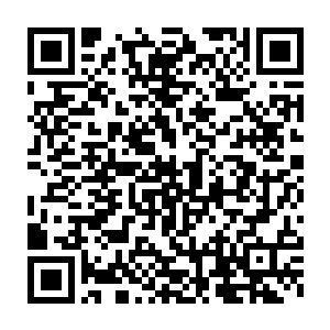 送出来的图像显示那丫头有七分和当年被皇宫大火烧死的叶玥相似二维码生成