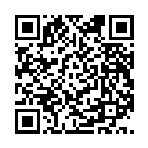 送给自己一条价值60多万美金的金枪鱼二维码生成