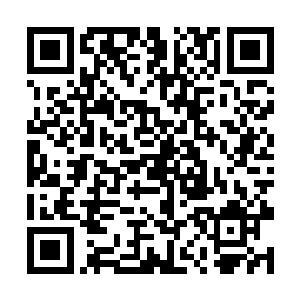 选帝侯联军的贵族门阀并非各个都是利令智昏的傻子二维码生成
