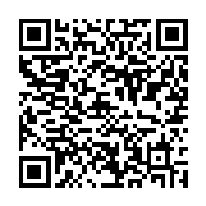 选择了一个位置带领着北地修仙界的修士驻扎下来二维码生成