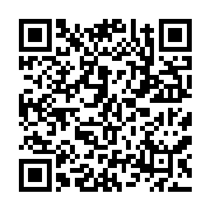 选择了雷尼哈林一一之后她还和雷尼合作了¨神探奇兵二维码生成