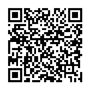 选择到远离城市的野外的山区躲起来会是一个不错的办法二维码生成