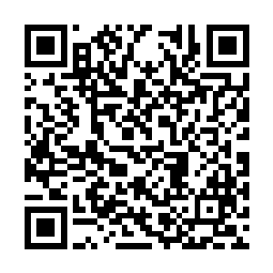 透着门缝的东方世家将西门吹雪的眼神看在了眼里二维码生成