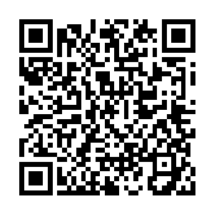 透过中枢神经将痛感直接传递到了我的脑海之中二维码生成