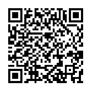 透过红酒可以看到那纤细的指尖有着隐约的典雅二维码生成