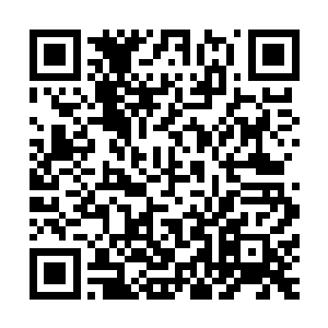 透过裙子裂开的缝隙发现林若烟今天穿了一条白色的蕾丝裤裤二维码生成