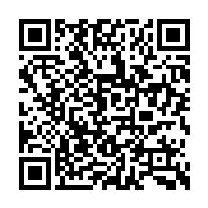 透过那袅袅热气认真打量着茶几上那一大堆纸张二维码生成