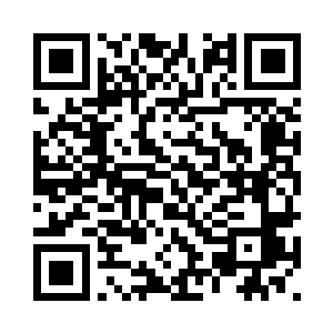 逐渐构建成了错综复杂的人形网络二维码生成