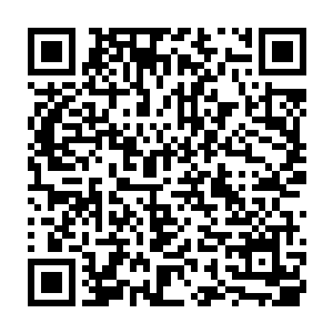 逐渐沉下来的眼皮在合上前好像看到了附近的住户因为这个声响而惊动二维码生成