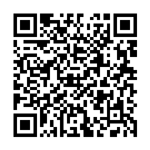 途中遇到了不少外门弟子和同样身穿星辰袍的内门弟子二维码生成