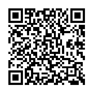 通体晶莹坚固犹如水晶和红宝石一样的金刚之山二维码生成