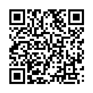 通天树给人一种非常古老沧桑的感觉二维码生成