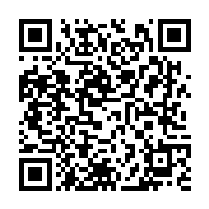通天蟒巨大的身型以肉眼可见的速度迅速干瘪缩小二维码生成