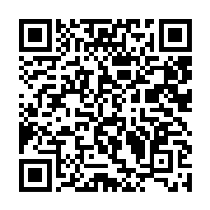 通灵境巅峰与中期的差距不是这样就能够轻易弥补的二维码生成