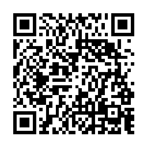 通过他们自己的努力已经达到了他们所能达到的巅峰了二维码生成