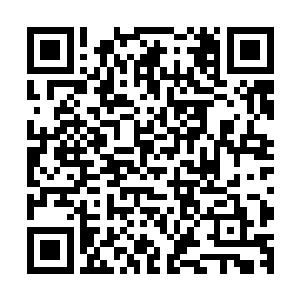 通过特殊神魂通道到神魂共享中的这一半意识这次并没有退出二维码生成