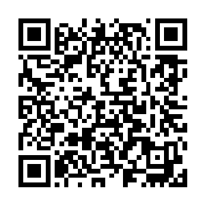 通过网络观看我们直播的观众总人数超过5000万人二维码生成