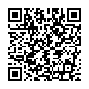 通过这些举报人和举报材料最终肯定会查出他的违法犯罪事实二维码生成